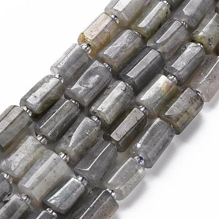 Natural Labradorite Beads Strands X-G-S345-8x11-001-1