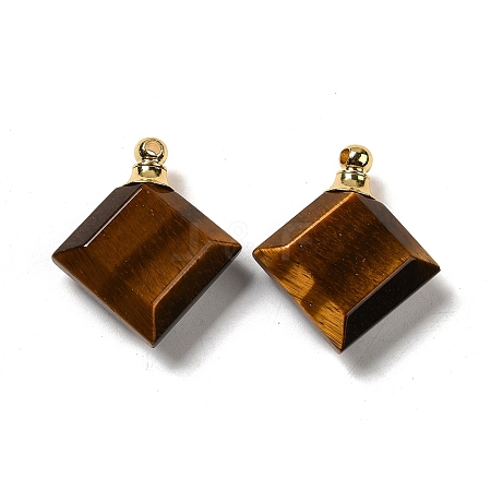 Natural Tiger Eye Perfume Bottle Pendants G-Z039-05G-05-1