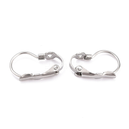 Tarnish Resistant 304 Stainless Steel Leverback Earring Findings LS-STAS-B003-05P-1