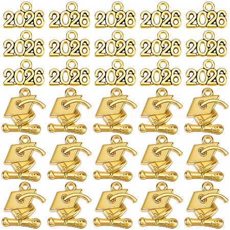 100Pcs 2 Styles Alloy Pendants FIND-SC0021-89AG-1