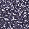 Silver Lined Glass Seed Beads SEED-T007-18A-08-3