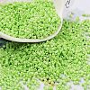 Baking Paint Glass Seed Beads X-SEED-S042-05B-65-1