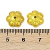 Brass Bead Caps KK-F891-16G-3