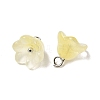 Glass Charms GLAA-G127-03B-2