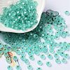 6/0 Glass Seed Beads SEED-Z001-B-E05-1
