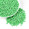 Baking Paint Glass Seed Beads SEED-N007-30D-1