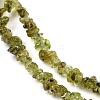 Natural Peridot Beads Strands G-P332-48-02-3