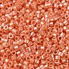 Baking Paint Glass Seed Beads X-SEED-S042-15A-03-3
