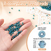Picasso Baking Paint Glass Seed Beads SEED-TA0001-62F-3