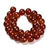 Dyed Natural Carnelian Beads Strands G-G203-10N-14mm-3