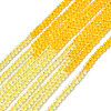 2 Colors Transparent Glass Beads Strands GLAA-G093-01D-1