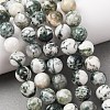 Natural Tree Agate Beads Strands G-T150-A09-12mm-1