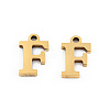 201 Stainless Steel Charms STAS-N091-176F-LG-2