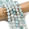 Natural Flower Amazonite Beads Strands G-Z119-A09-01-1