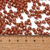 Baking Painted Glass Seed Beads SEED-C004-01S-4