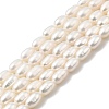 Natural Cultured Freshwater Pearl Beads Strands PEAR-I007-01P-05-2