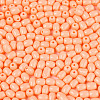 Baking Paint Glass Seed Beads SEED-N007-29D-3