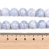 Natural Blue Lace Agate Beads Strands G-D106-A01-10mm-5