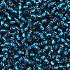 TOHO 8/0 Round Beads SEED-TR08-0023BD-2