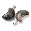 Natural African Bloodstone Pendants G-F820-02L-21-3
