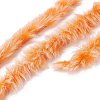Polyester & Nylon Yarn LS-YCOR-C001-01O-3