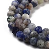 Natural Sodalite Beads Strands G-G140-A10-05-4