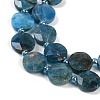 Natural Apatite Beads Strands G-C116-A28-01-3