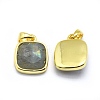 Natural Labradorite Pendants G-O176K-09G-2