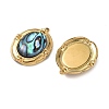 Natural Paua Shell Pendants STAS-G397-24G-02-2