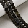 Natural Golden Sheen Obsidian Beads Strands G-M403-A46-03-1