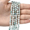 Natural Flower Amazonite Beads Strands G-Z119-A09-01-2