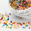 8/0 Glass Seed Beads SEED-US0003-3mm-TF-1