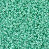 MIYUKI Round Rocailles Beads SEED-X0054-RR0219-3