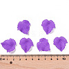 Autumn Theme Transparent Frosted Acrylic Pendants X-PAF002Y-8-4