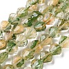 Inner Flower Handmade Lampwork Beads Strands LA-CBA3F7A-02F-1