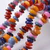 Dyed Natural Freshwater Shell Bead Strands X-BSHE-O016-26-1