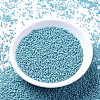 MIYUKI Delica Beads LS-X-SEED-J020-DB0375-2