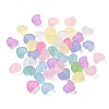 Frosted Transparent Acrylic Beads FACR-C001-01G-1