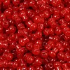 Transparent Colours Glass Seed Beads SEED-R001-01I-2