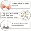 SOFPLATE 80Pcs 2 Color 304 Stainless Steel Leverback Earring Findings STAS-SP0001-19-6