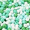 6/0 Opaque Baking Paint Glass Seed Beads X1-SEED-M012-02A-27-3