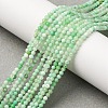 Natural Chrysoprase Beads Strands G-C196-A02-2mm-1