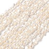 Natural Cultured Freshwater Pearl Beads Strands PA-CBABE82-02B-2