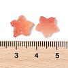 Imitation Candy Food Style Resin Cabochons X1-RESI-R461-02A-4
