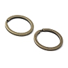 Iron Split Key Rings FIND-B046-06A-AB-2