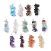 13Pcs Natural Mixed Gemstone Pendants X1-PALLOY-JF02145-02-1