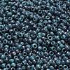 TOHO 6/0 Round Beads SEED-XTR06-1206-4