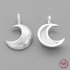 925 Sterling Silver Charms STER-G011-28MS-1