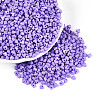 Baking Paint Glass Seed Beads SEED-N007-30K-1