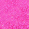 Baking Paint Glass Seed Beads SEED-L011-09A-13-3